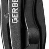 Gerber Paraframe Mini Black FE Folding Knife
